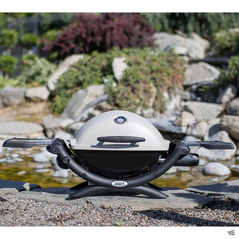 Weber® Q 1200 Gas Grill