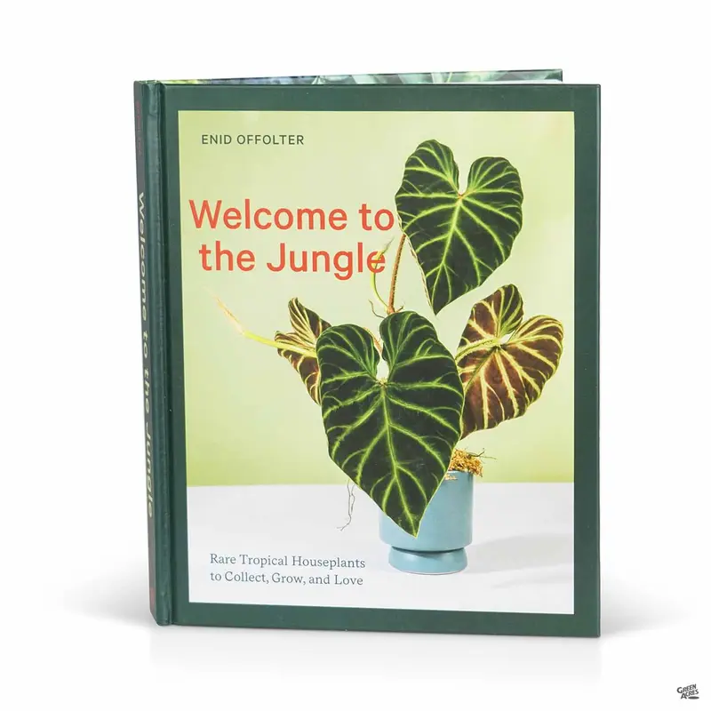 Welcome to the Jungle