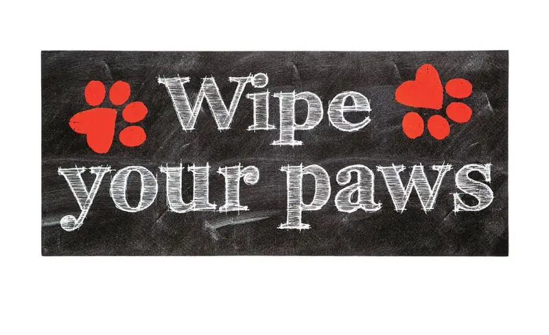 Wipe Your Paws Sassafras Switch Mat
