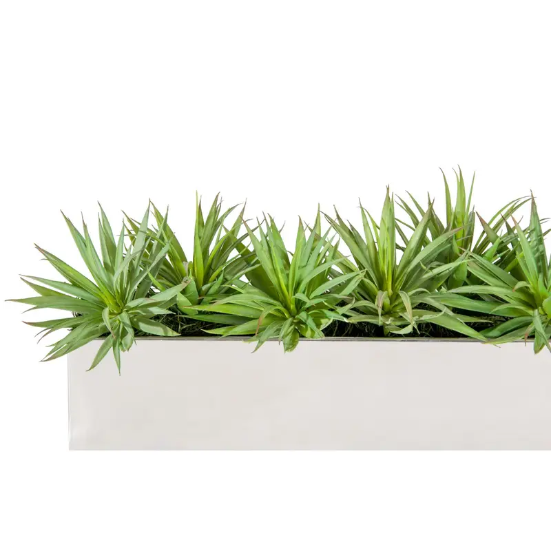 Yucca Mini 1 in Stainless Table Planter By Gold Leaf