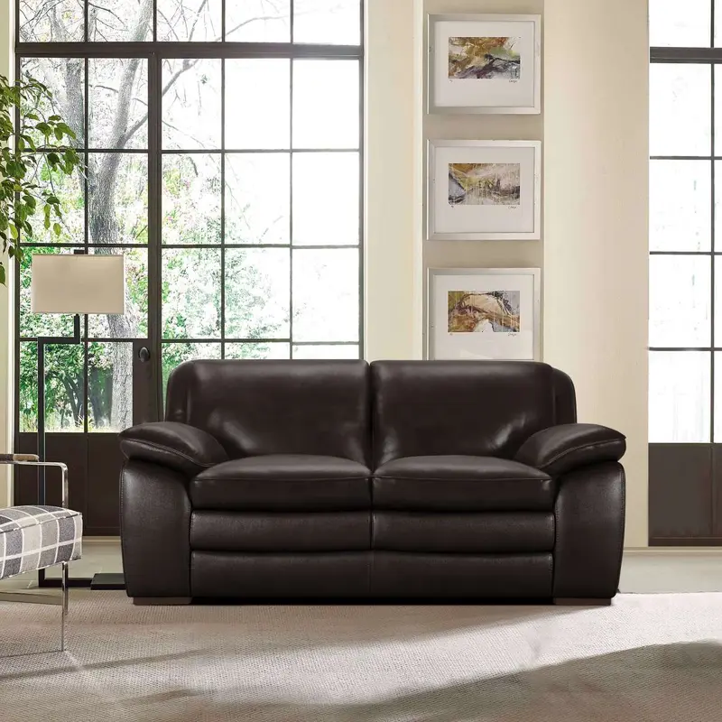 Zanna Contemporary Loveseat in Genuine Dark Brown Leather with Brown Wood Legs By Armen Living