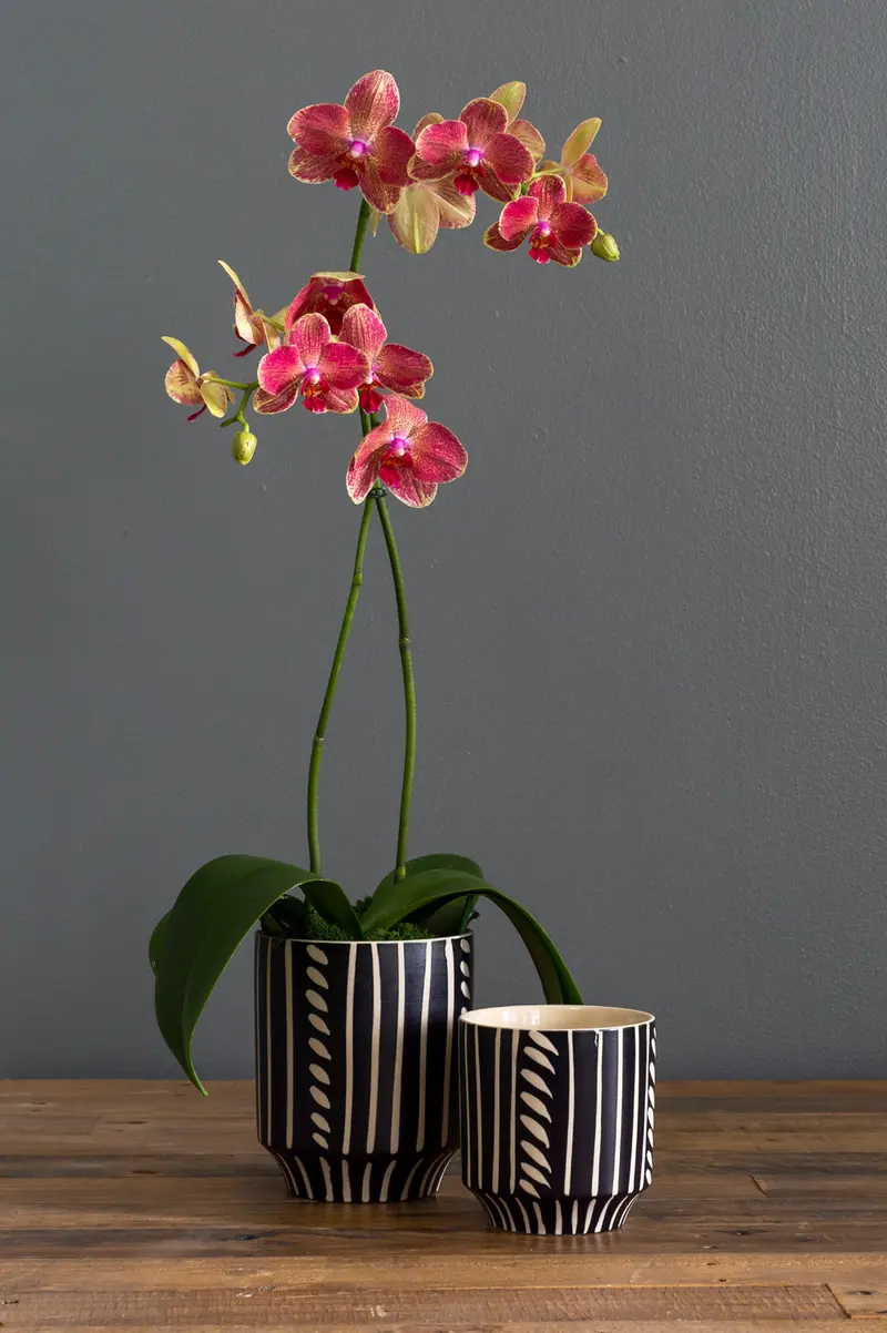 Ziva Pot Set of 4 By Accent Decor
